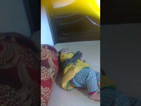 Play with cat and musfira