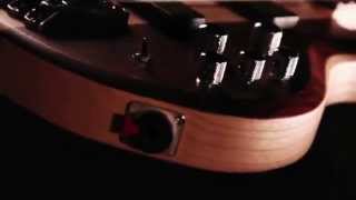 Video thumbnail for Suona.net Ibanez Bass Workshop BTB686SC-NTF - Terra Firma - 6 corde - Natural Flat by suonatelevision