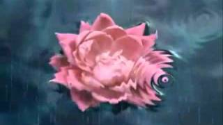 Wild Flower (Skylark)