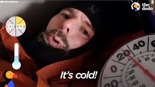 Veterinarian Stays in Freezing Doghouse to Show What It&#39;s Like for a Dog | The Dodo