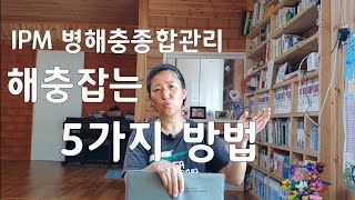 농사. 해충을 대하는 5가지 방법. 최저비용 최고효율방제는 육묘부터. IPM 병해충 종합관리.