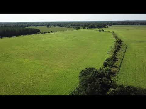 Archive 18 Video thumbnail