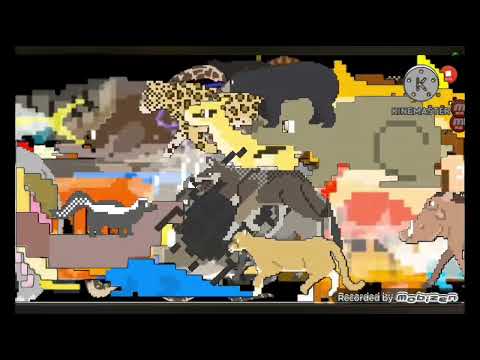 Animals Book Version Collection Stampede - @TheKidsPictureShow