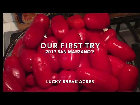 San Marzano Tomatoes