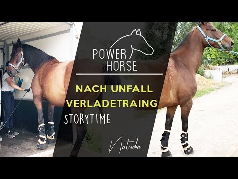 Verladetraining nach Unfall /Pferde Storytime