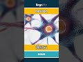 neuron - 神经元 video thumbnail