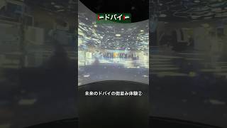 【🇦🇪ドバイ】未来のドバイの暮らしの様子。内装おしゃれ過ぎるしロボットいるし何なの。。
