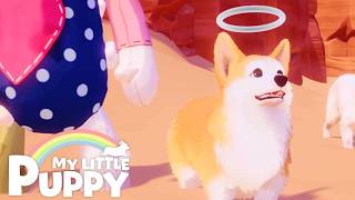 【ワンちゃん】#6 愛するご主人を探して、天国で冒険する『マイリトルパピー』。