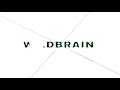 WildBrain Logo 2007 Effects Round 1 Vs Megan Woodmansee Squared
