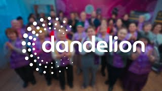 Dandelion: В сердце компании