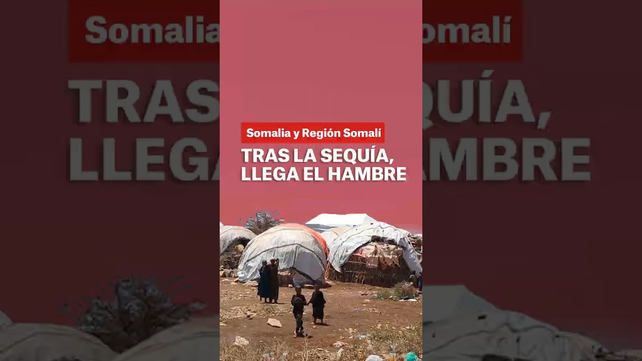 Somalia y región somalí: tras la sequía, llega el hambre
