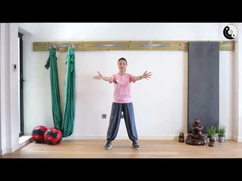 Tai Chi Qigong Shibashi Set 1 (Tutorial) | Movements 1-6 | mirrored version with all the details |