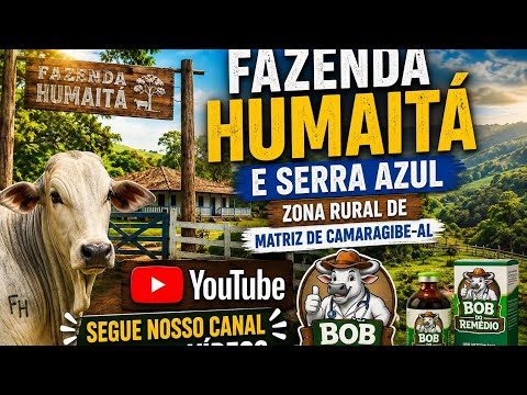ATUALIZAÇÃO DO CANAL / FAZENDA HUMAITA / ZONA RURAL DE MATRIZ DE CAMARAGIBE-AL / 