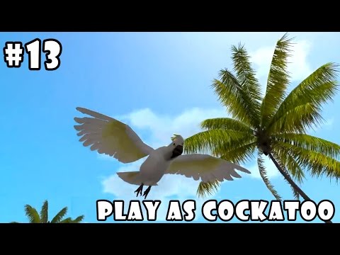 Ultimate Bird Simulator (by Gluten Free Games) Android Gameplay Part 13 [HD] - YouTube