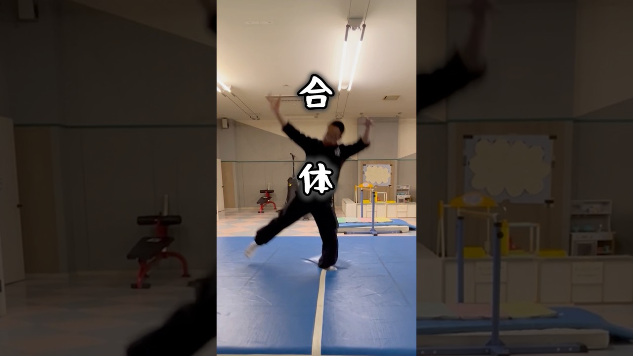 【Part8】とびきり凄い蹴り技をバク宙と混ぜたら… #パルクール