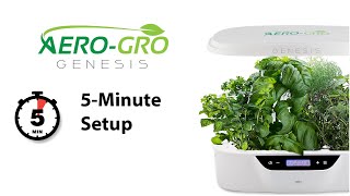 Genesis 5-Minute Setup