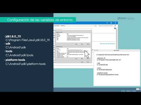 01 Desarrollador de aplicaciones móviles