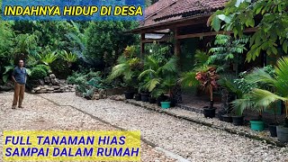 Download lagu TANAMAN HIAS FULL SAMPAI DI DALAM RUMAH. SANGAT INDAH SEKALI. mp3