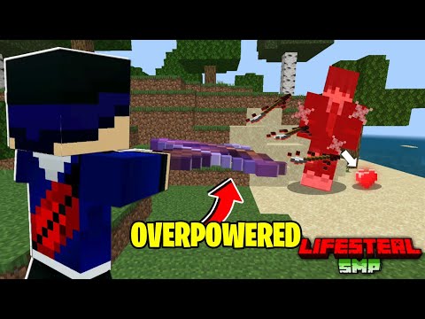 Why i Make This Overpowered Tool in this Lifesteal SMP