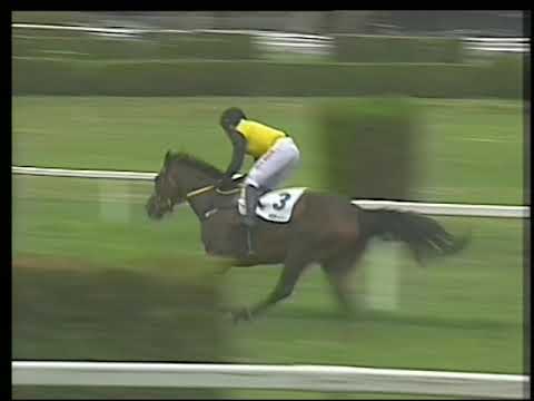 6.a  corsa  Pr. Imprezer  27 07 2019