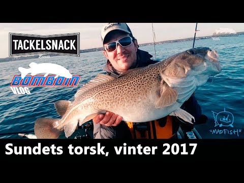 Kajaktur til Øresund. 2017