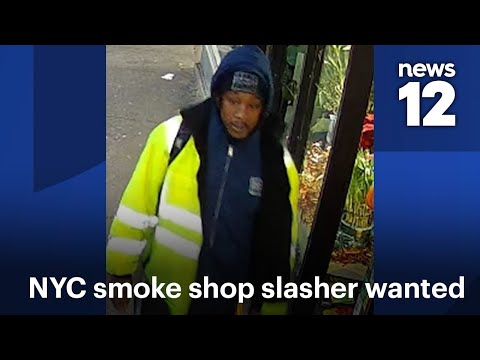 Smoke shop slasher on the run in The Bronx | News 12