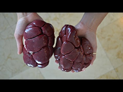YouTube video about: How to cook beef kidney for dogs?