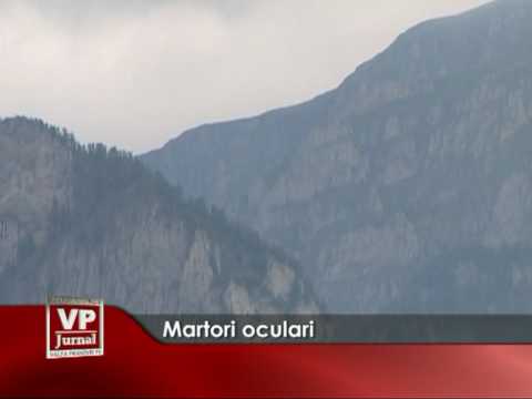 Martori oculari