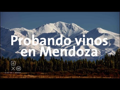 Probando vinos en Mendoza | Argentina #10 Alan por el mundo
