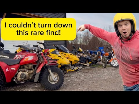 I spent $3600 on 7 new projects!(Barn find Trike, two bikes and four snowmobiles)