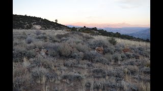 Download Lagu Exploring the old townsite of Star City up in the Sweetwater Mountains of Mono County, California. Thumbnail