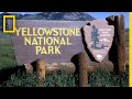 A Brief History Of Yellowstone National Park National Geographic