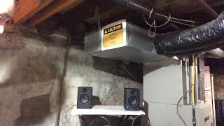 MurderBasement Live 11/15/2020