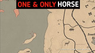 One & Only Horse With Special Accessory - RDR2