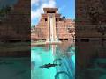 Waterslide into a SHARK TANK 🦈