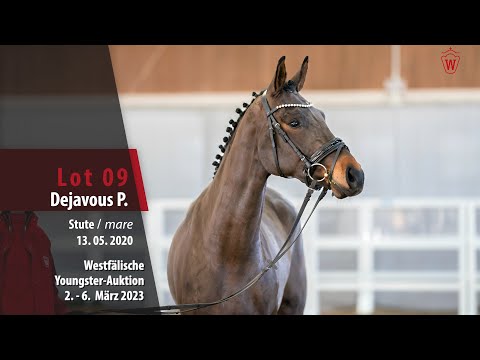 Youngster-Auktion Lot 09 Dejavous P. Stute v. Dodo Weihgand - Drakdream