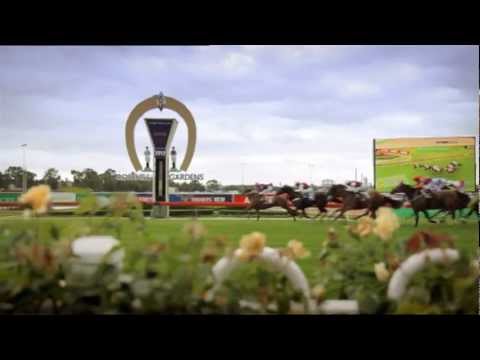 The Tooheys New Golden Slipper Day 2013