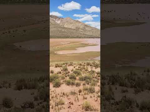 tres cruces jujuy argentina 2024 laguna