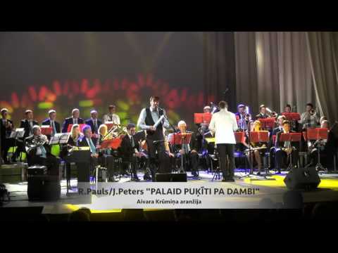 ZELMERI PRO - koncerts "SPĒLĒJAM PAULU" - "PALAID PUĶĪTI PA DAMBI"