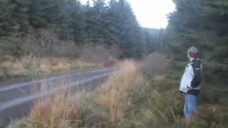 preview picture of video 'Glens of Antrim Rally Slieveanorra Forest Stage 7 Part 2 Saturday 7 November 2009'