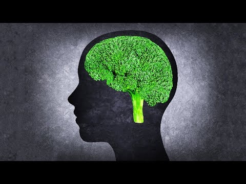 10 Foods Good for Increasing Brain Power