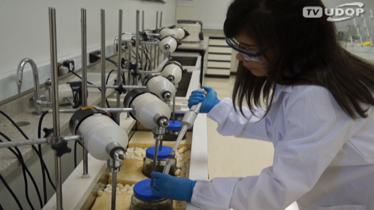 A SEGUNDA GERAÇÃO DO ETANOL - Parte 1