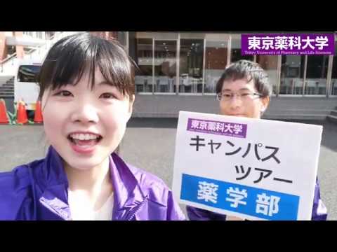 生命医科学科 Webキャンパスツアー　薬学部編｜東京薬科大学