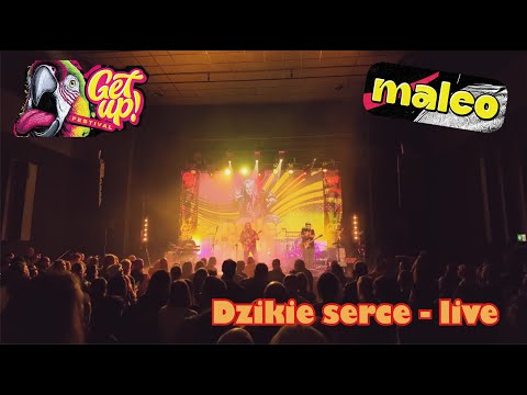 Maleo - Dzikie serce - LIVE - Get Up! Reggae Dub Festival, Bydgoszcz 2025 4K
