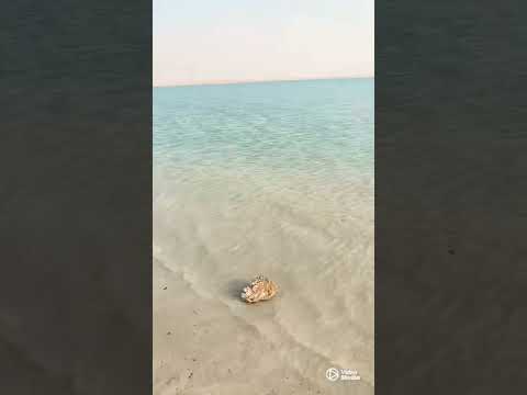 Zekreet village beach 🏖 Qatar