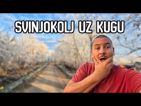 NAPOKON SVINJOKOLJ | Puna pušnica 🙂