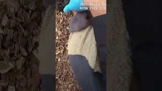 Drunk Suspect Stops Breathing After Cops Take Him Down