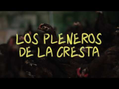 El legado de un Abuelx