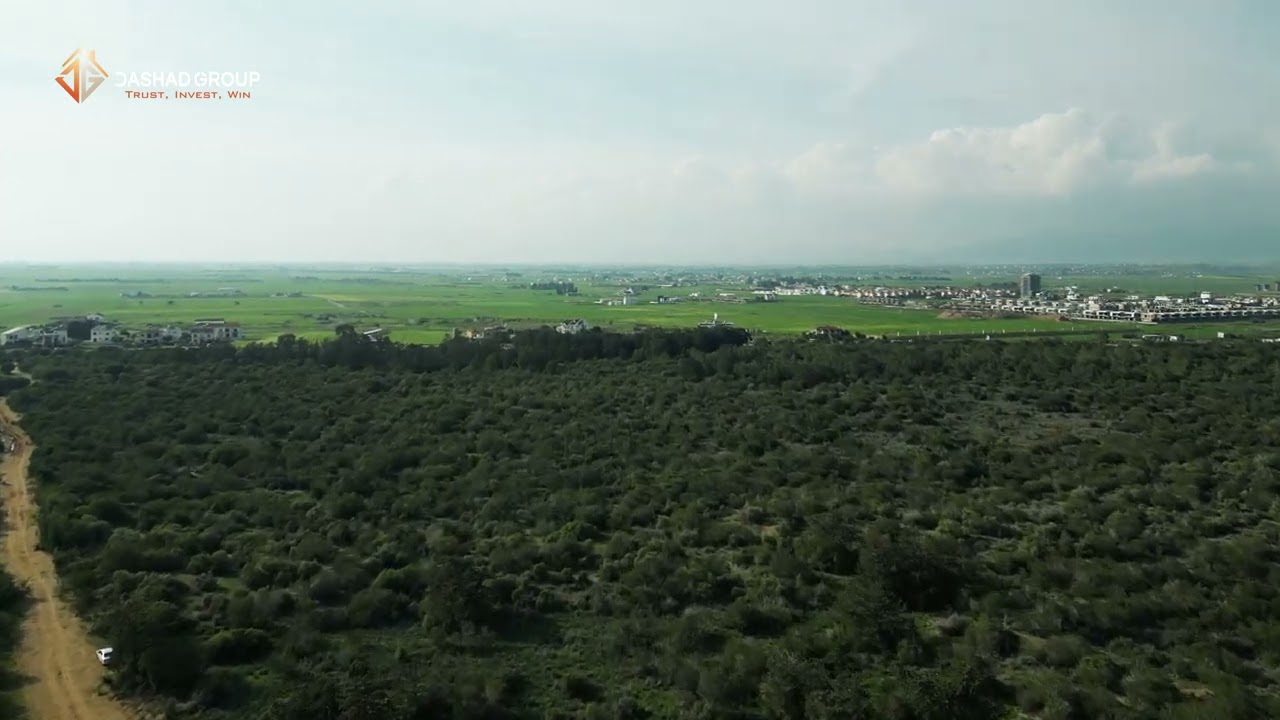 Discover the perfect blend of nature and luxury at SELARON Residence!