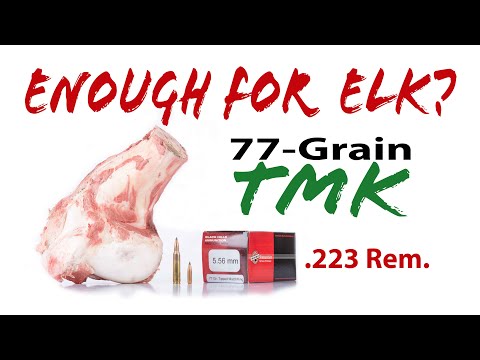 Is the .223 Enough for Elk? SURPRISING Results! 77-grain Sierra TMK vs Shoulder Bone & Ballistic Gel